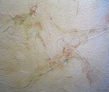 Living Room Lofty Expressions - Living Room