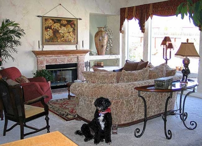 Faux Painted fireplace, Mantel and Faux Tissue Papered wall Custom Silk Window Treatments.
