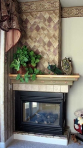 Harlequin Paper & Antique Border.